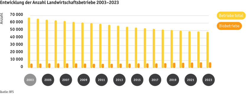 ab24_grafik_entwicklung_anzahl_betriebe_d.png