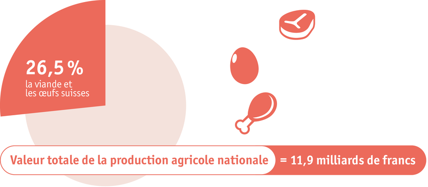 ab2024_maerkte_fleisch_und_eier_infografik_f.png