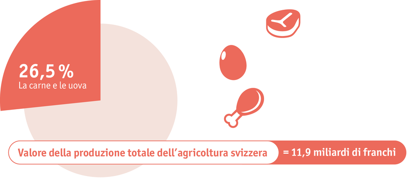 ab2024_maerkte_fleisch_und_eier_infografik_i.png