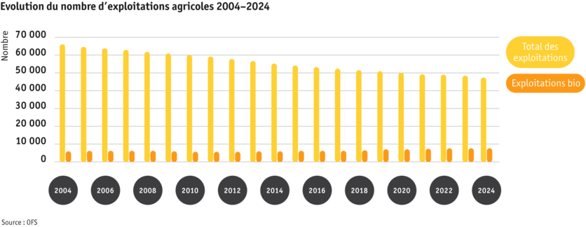 ab2025_betrieb_strukturen_betriebe_grafik_entwicklung-anzahl-betriebe_f.png